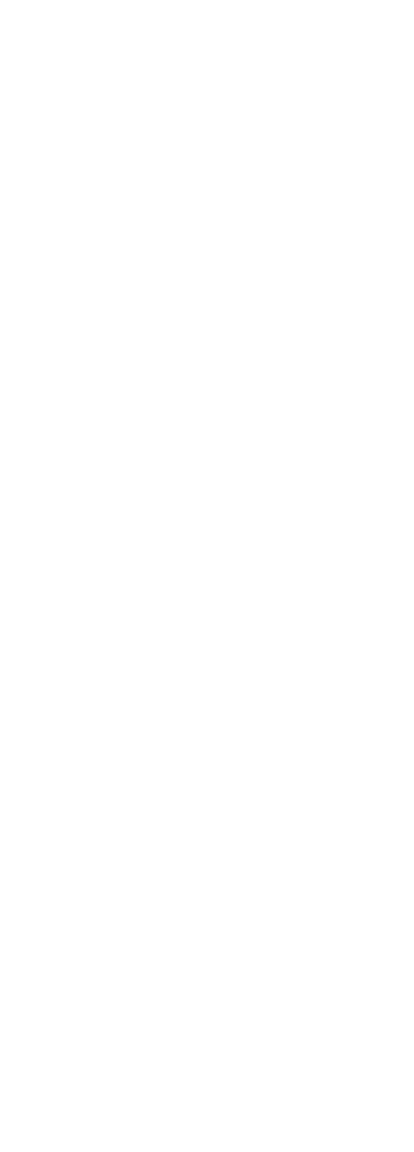 BENGAL TIGERの文字が虎へ変化していく作品図