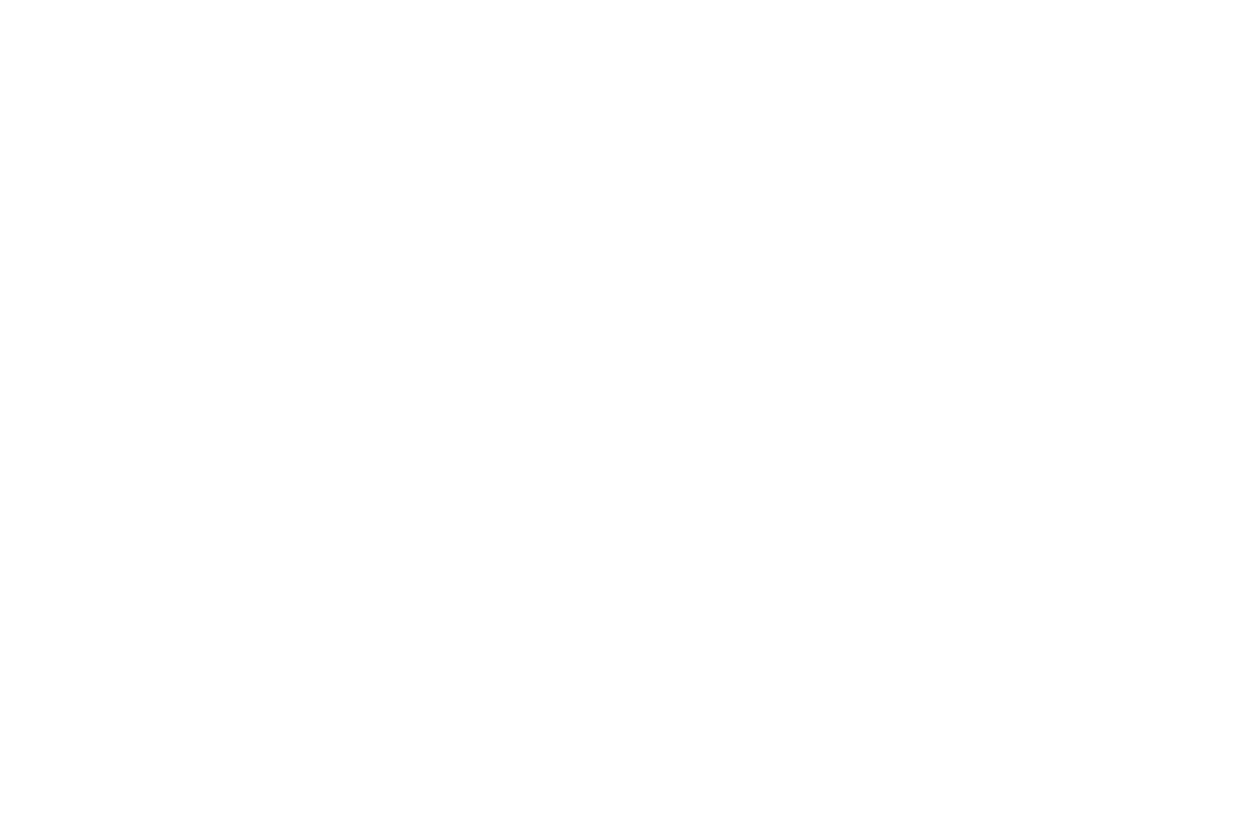 BENGAL TIGER gallery artwork