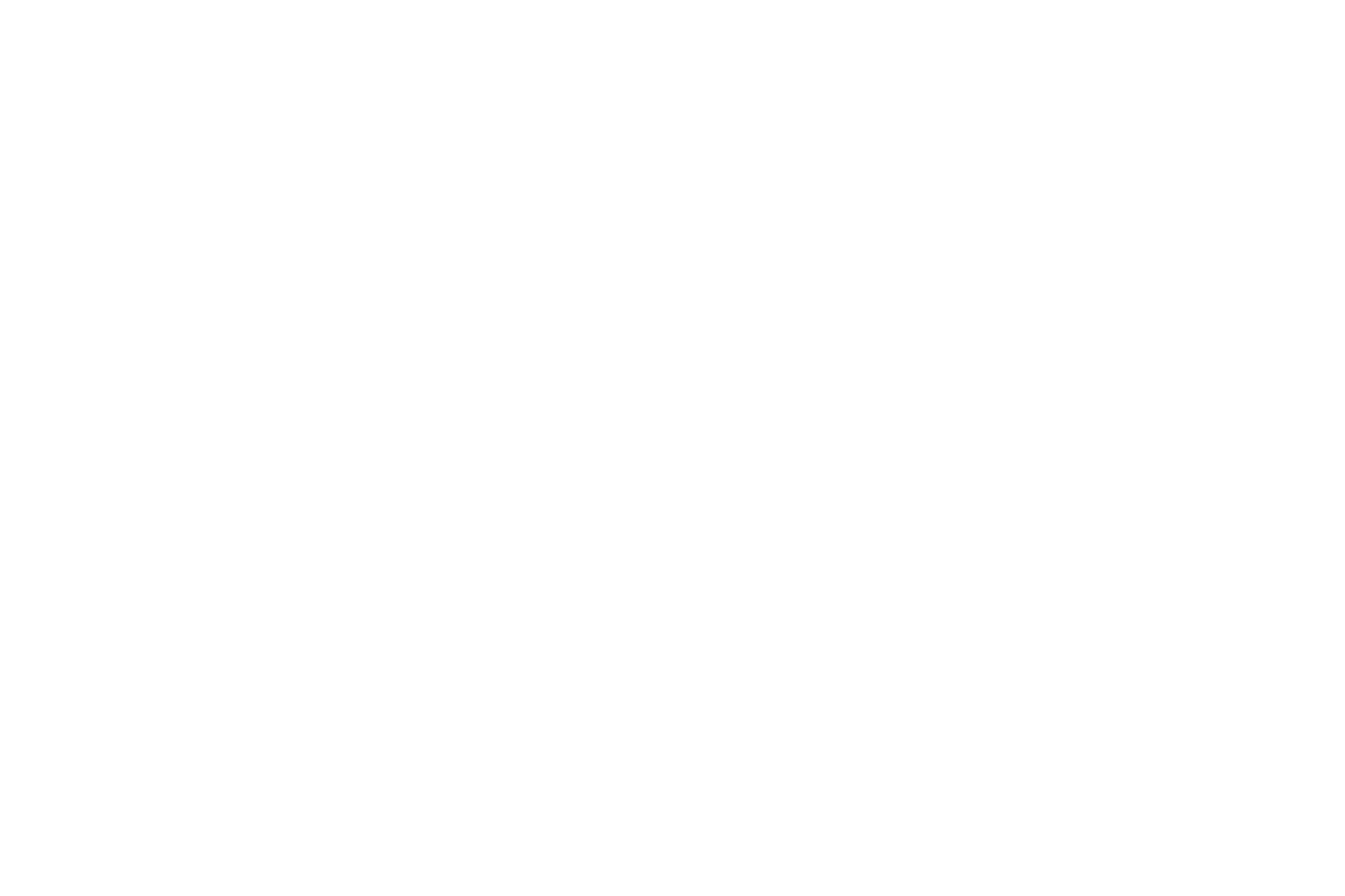 TATSUNOOTOSHIGO gallery artwork